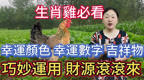 雞顏色|屬雞必看：幸運色改變你命運